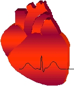 Verein zur Förderung der
                      Kardiologie