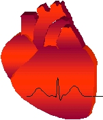 Verein zur Frderung der
                      Kardiologie