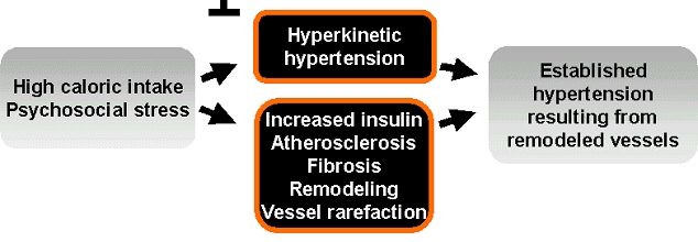 From hyperkinetic HT to HT